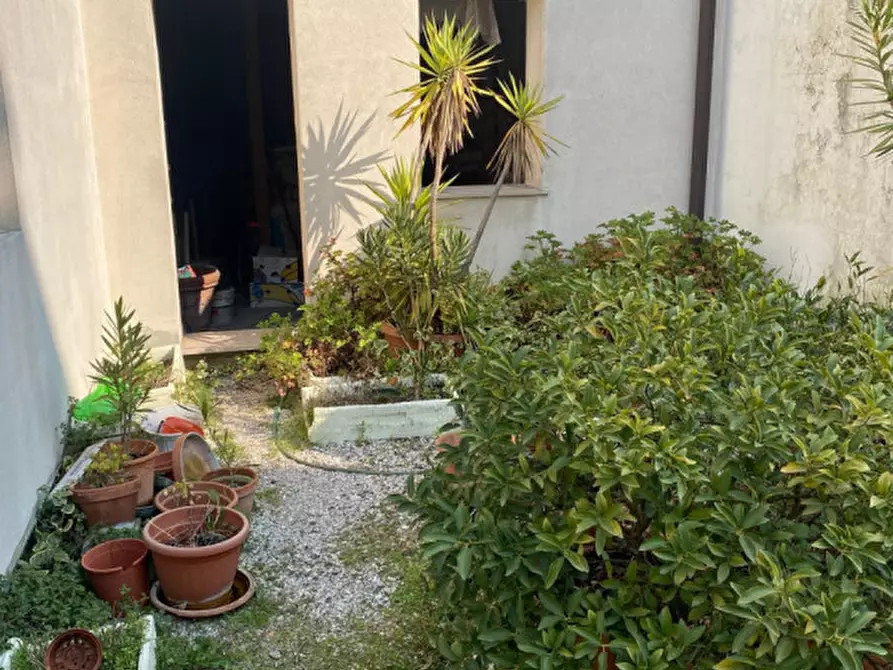 Immagine 2 di Casa indipendente in vendita  in Via Castello a Piove Di Sacco