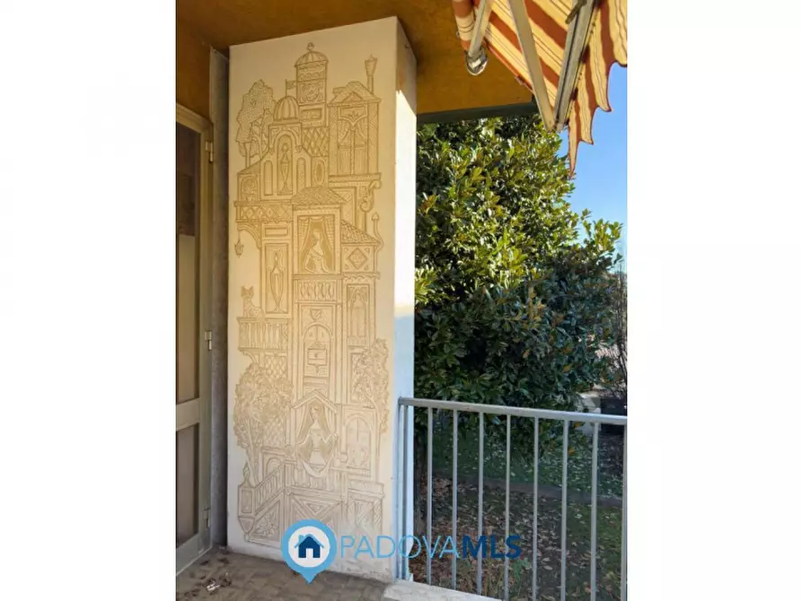 Immagine 9 di Casa indipendente in vendita  in VIA PIETRO MICCA a Padova