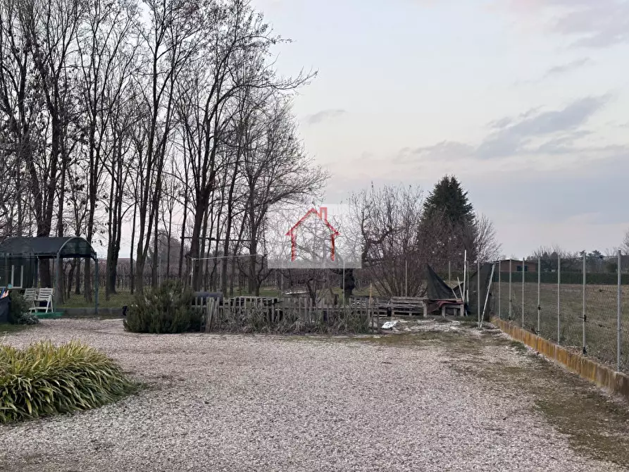 Immagine 5 di Terreno in affitto  a Villorba