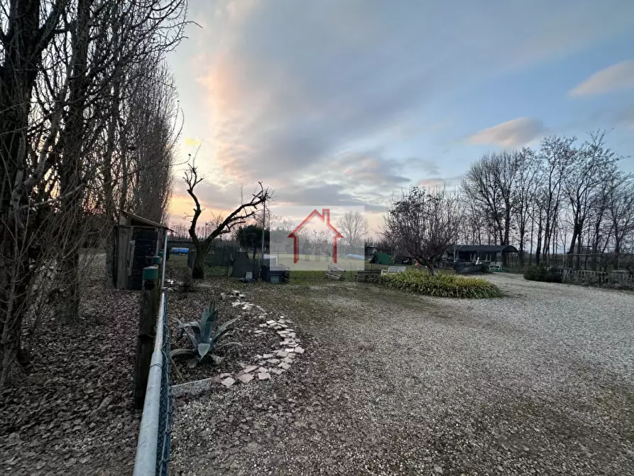 Immagine 6 di Terreno in affitto  a Villorba