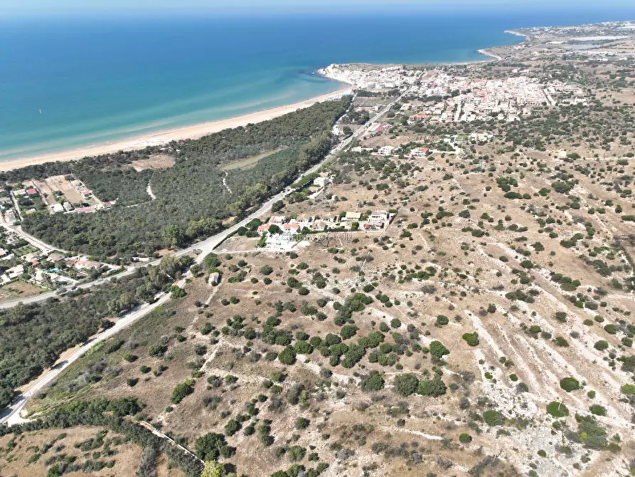 Immagine 5 di Terreno in vendita  a Scicli