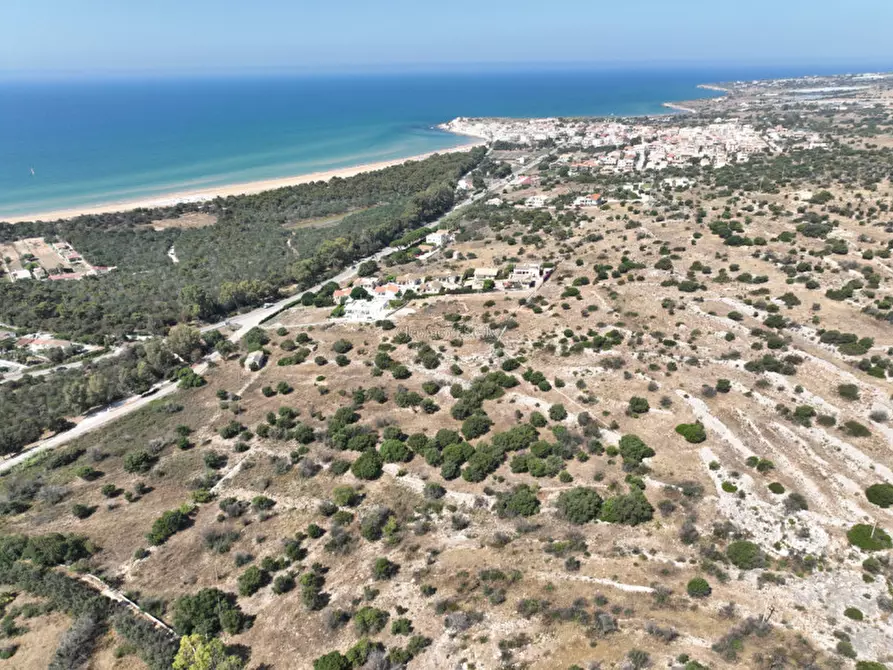 Immagine 6 di Terreno in vendita  a Scicli