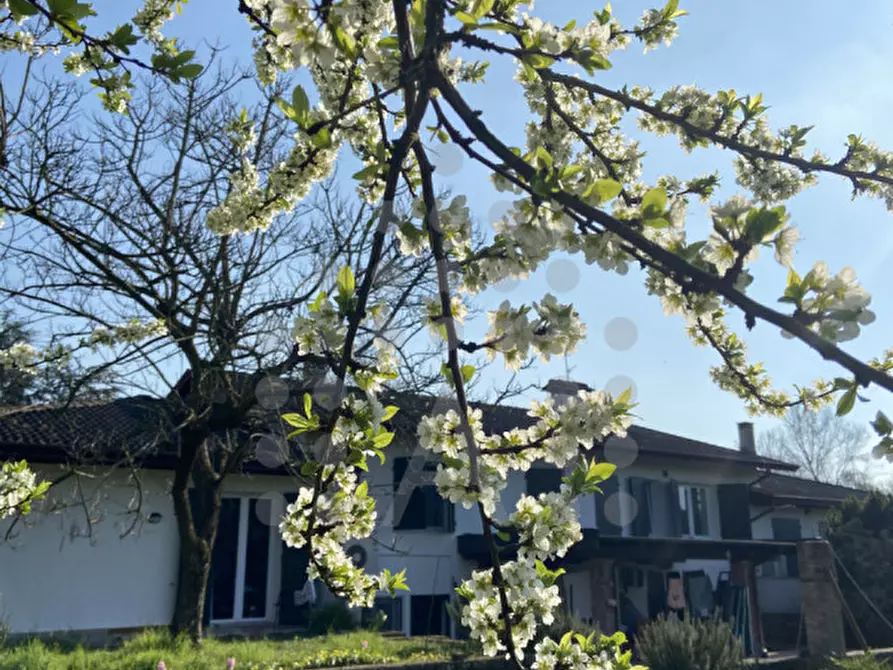 Immagine 73 di Casa bifamiliare in vendita  in Via Selve a Teolo