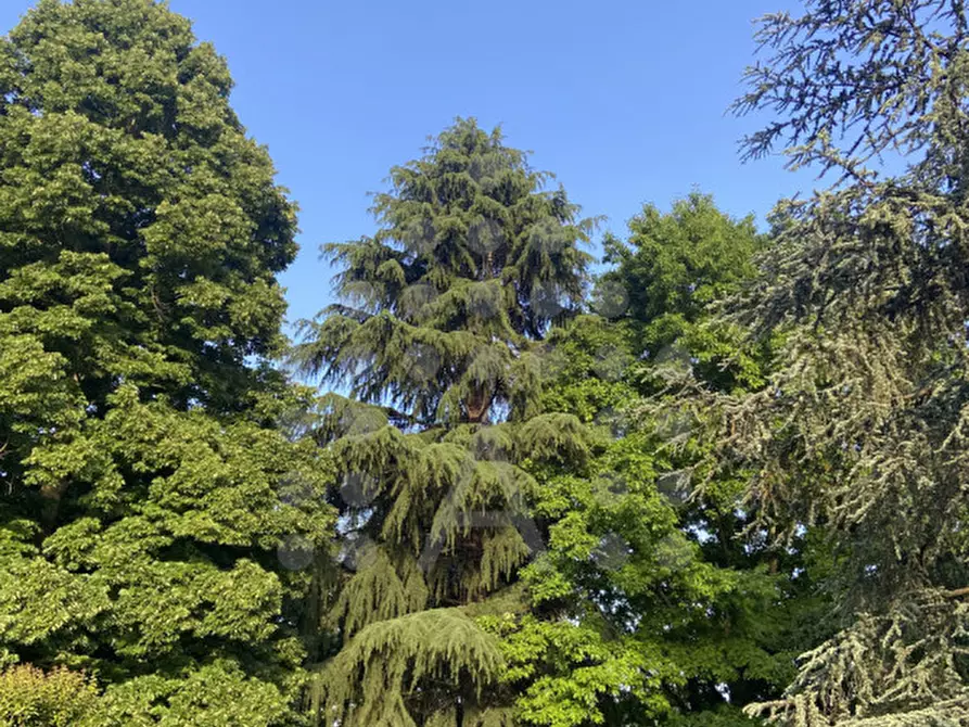 Immagine 74 di Casa bifamiliare in vendita  in Via Selve a Teolo