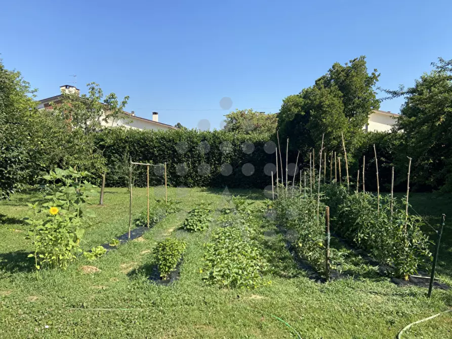 Immagine 75 di Casa bifamiliare in vendita  in Via Selve a Teolo