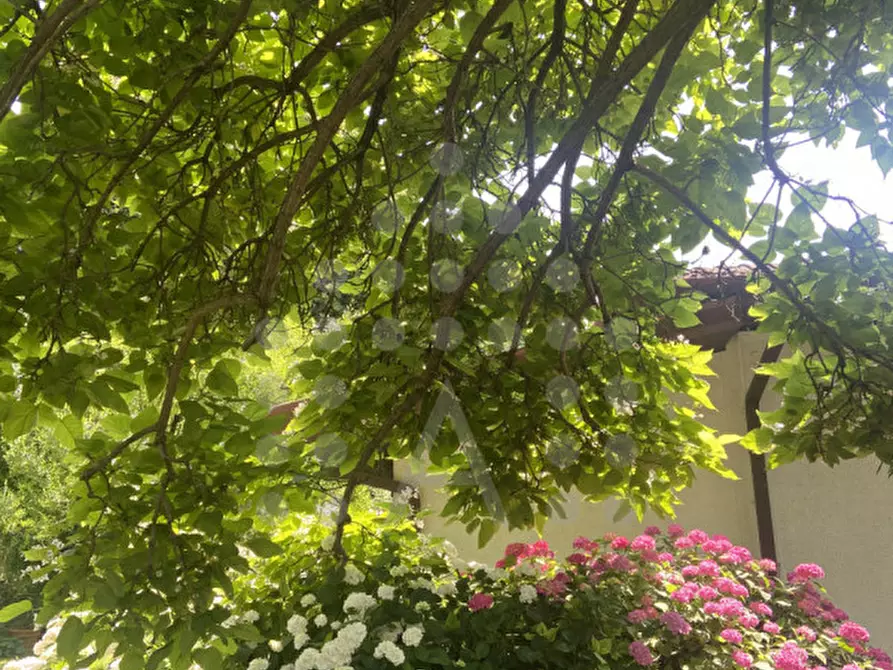 Immagine 76 di Casa bifamiliare in vendita  in Via Selve a Teolo