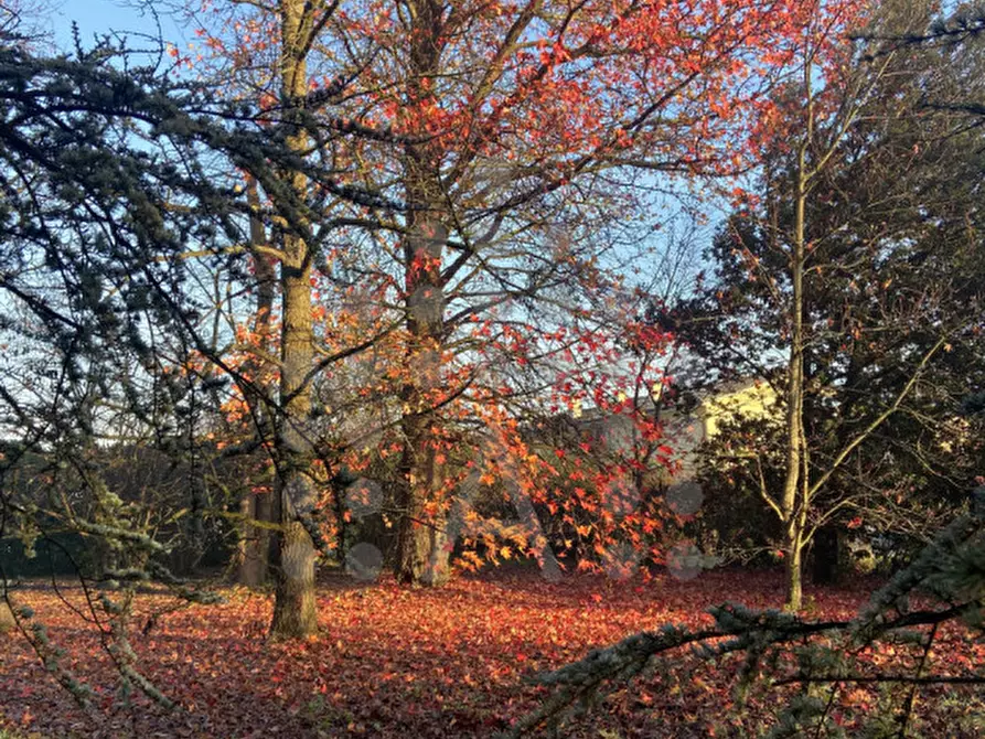 Immagine 77 di Casa bifamiliare in vendita  in Via Selve a Teolo