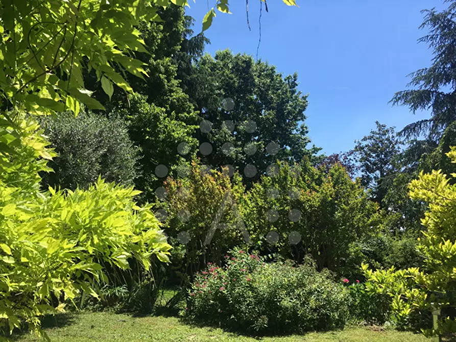 Immagine 78 di Casa bifamiliare in vendita  in Via Selve a Teolo