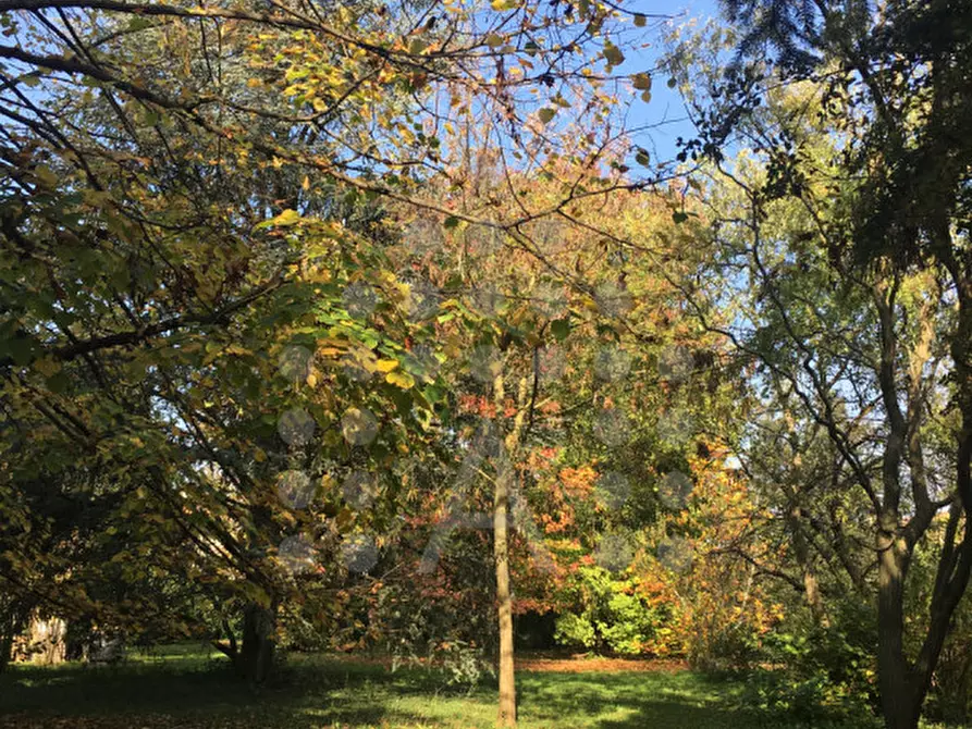 Immagine 81 di Casa bifamiliare in vendita  in Via Selve a Teolo