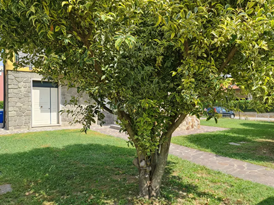 Immagine 7 di Appartamento in vendita  a Lendinara