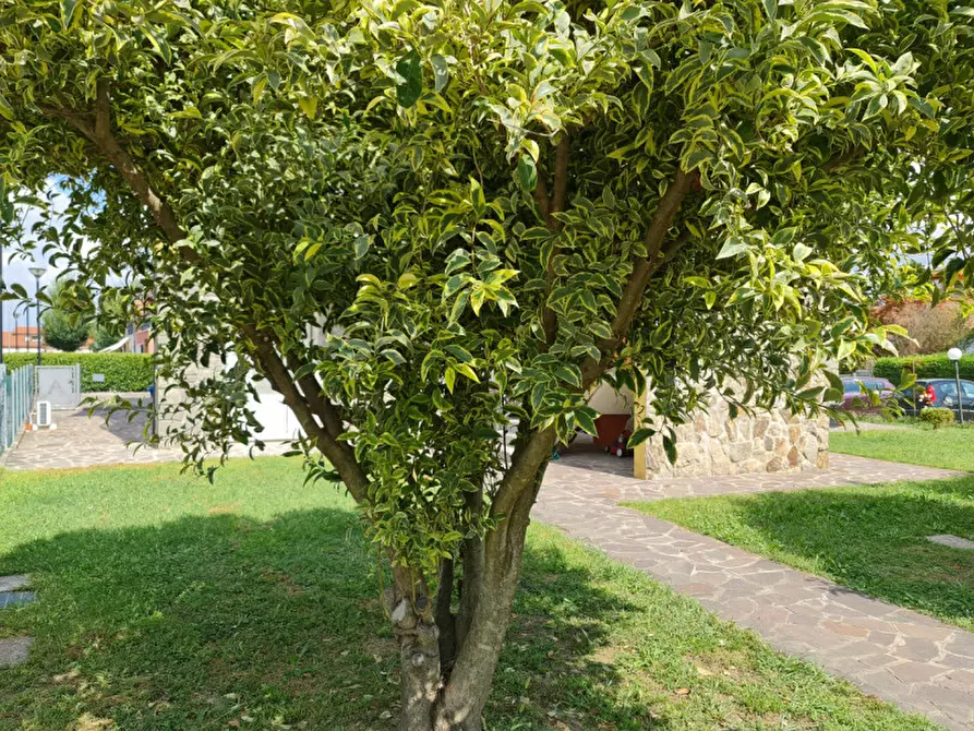 Immagine 11 di Appartamento in vendita  a Lendinara