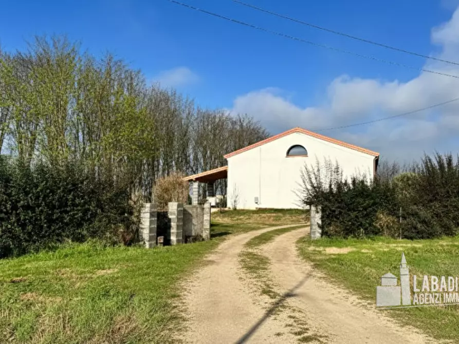 Immagine 37 di Villa in vendita  in Via Arzaron 9 a Lendinara