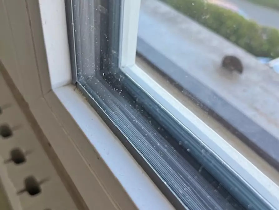 Immagine 7 di Villetta a schiera in vendita  a Vigonovo