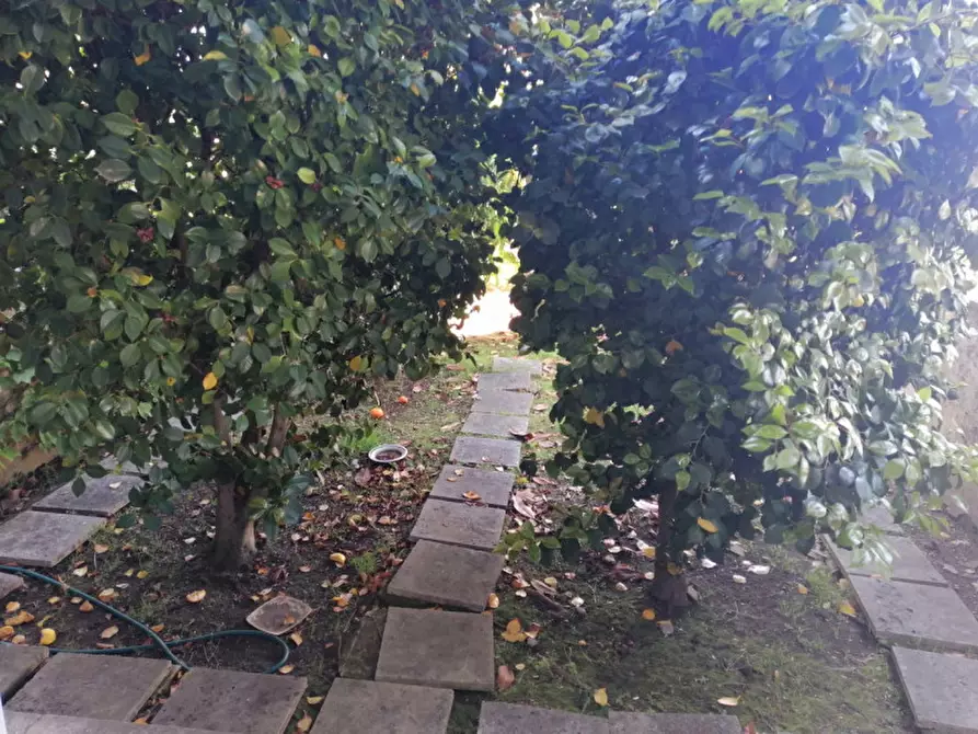 Immagine 12 di Villa in vendita  in Via Enrico Menghini a Nepi