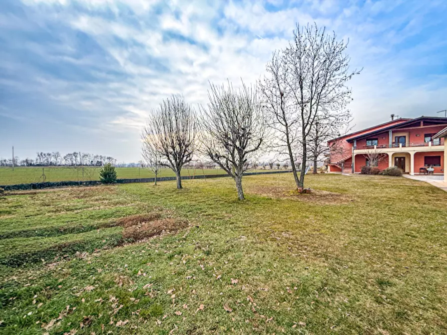 Immagine 22 di Casa indipendente in vendita  in Via Friuli a Paese