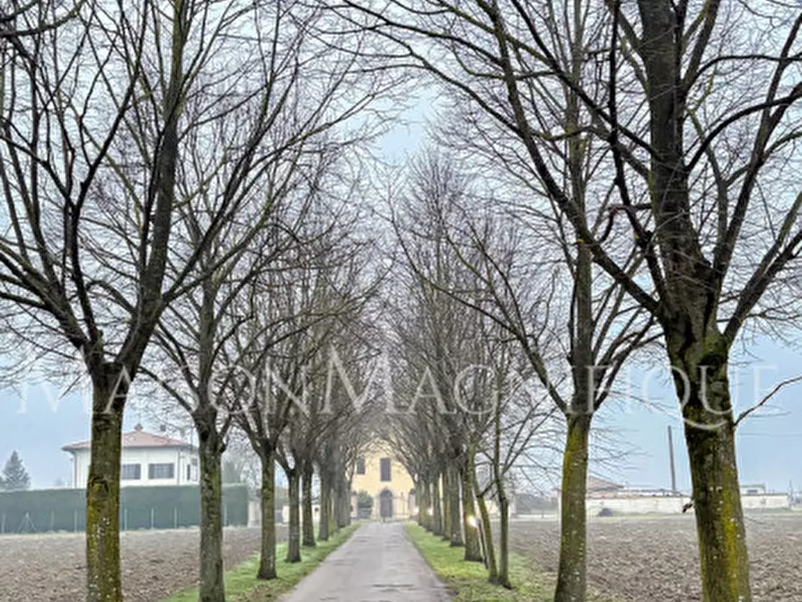 Immagine 42 di Appartamento in vendita  in Via Stradone 23 a Castel Guelfo Di Bologna