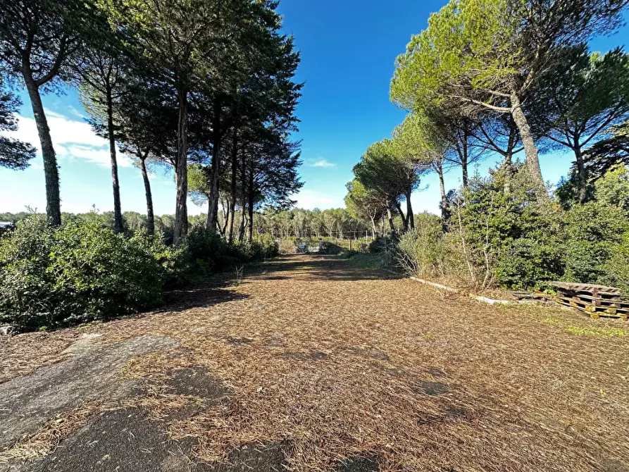 Immagine 3 di Hotel in vendita  in SS172 a Martina Franca