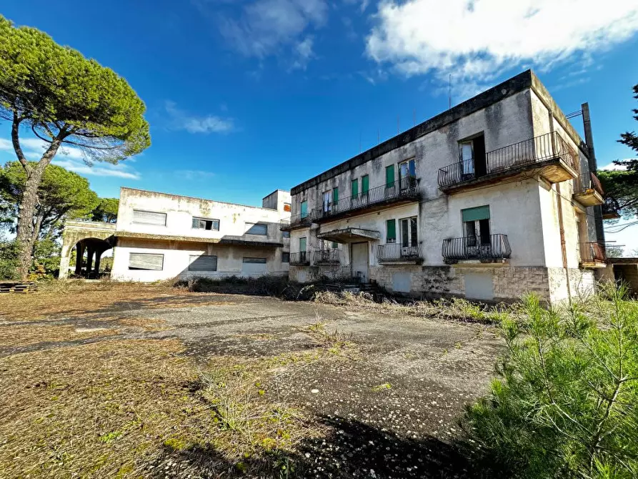 Immagine 4 di Hotel in vendita  in SS172 a Martina Franca