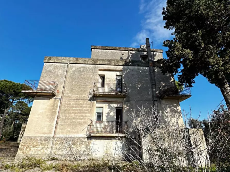 Immagine 9 di Hotel in vendita  in SS172 a Martina Franca