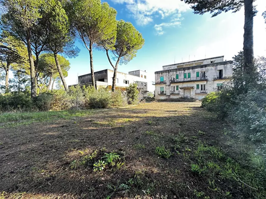 Immagine 10 di Hotel in vendita  in SS172 a Martina Franca