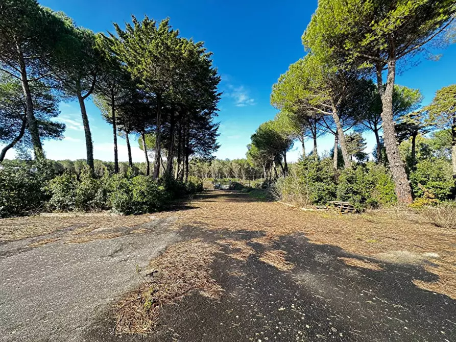 Immagine 12 di Hotel in vendita  in SS172 a Martina Franca