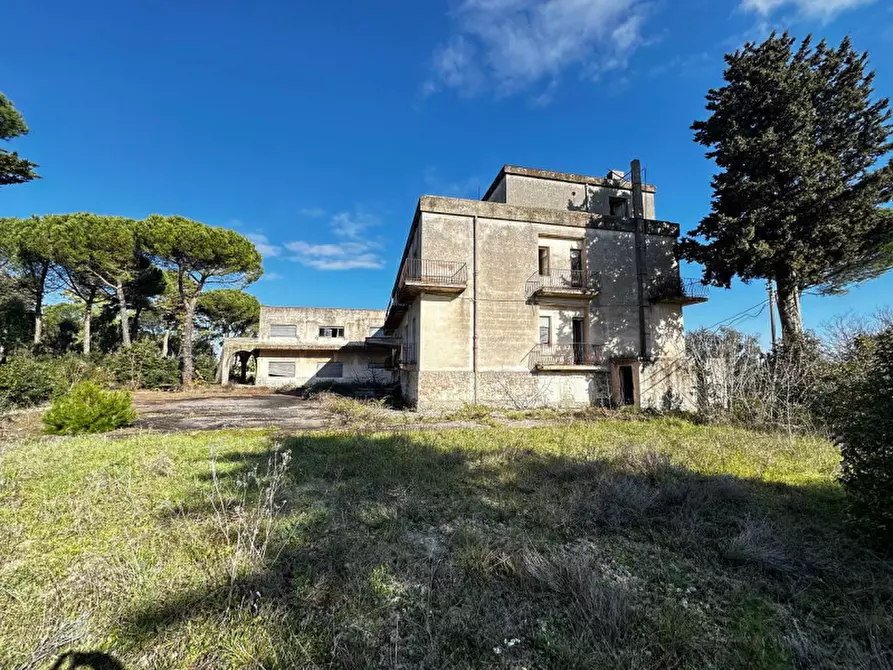 Immagine 13 di Hotel in vendita  in SS172 a Martina Franca