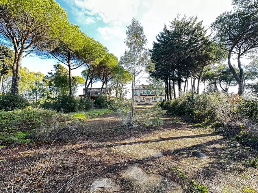 Immagine 15 di Hotel in vendita  in SS172 a Martina Franca