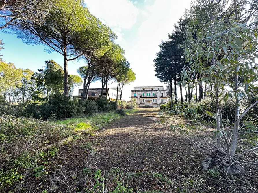 Immagine 16 di Hotel in vendita  in SS172 a Martina Franca