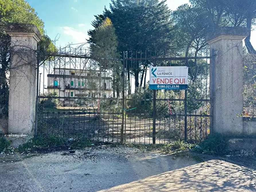 Immagine 23 di Hotel in vendita  in SS172 a Martina Franca