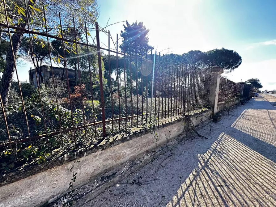 Immagine 26 di Hotel in vendita  in SS172 a Martina Franca