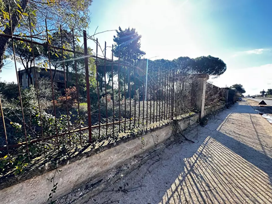 Immagine 27 di Hotel in vendita  in SS172 a Martina Franca