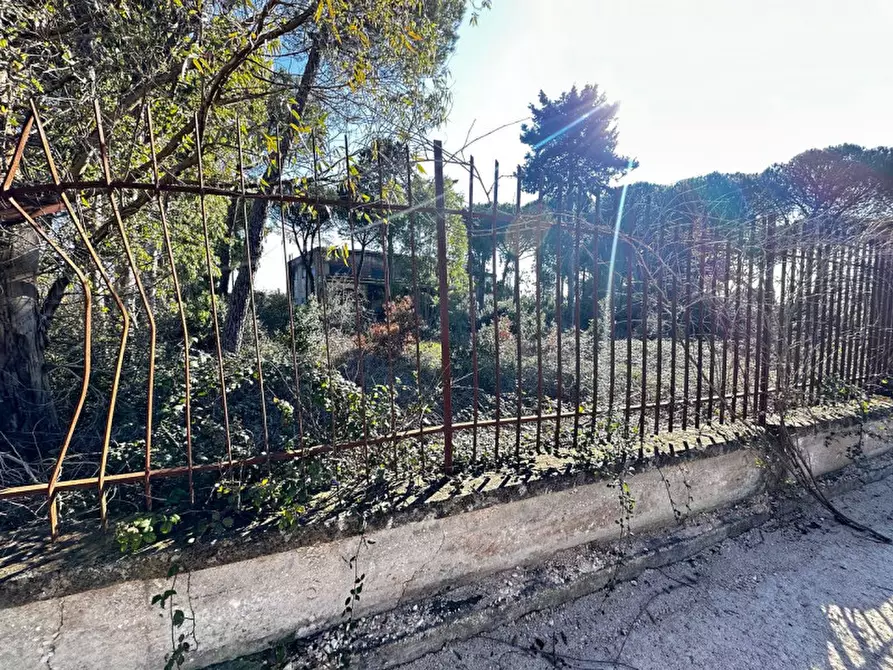 Immagine 28 di Hotel in vendita  in SS172 a Martina Franca