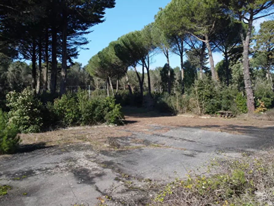 Immagine 29 di Hotel in vendita  in SS172 a Martina Franca