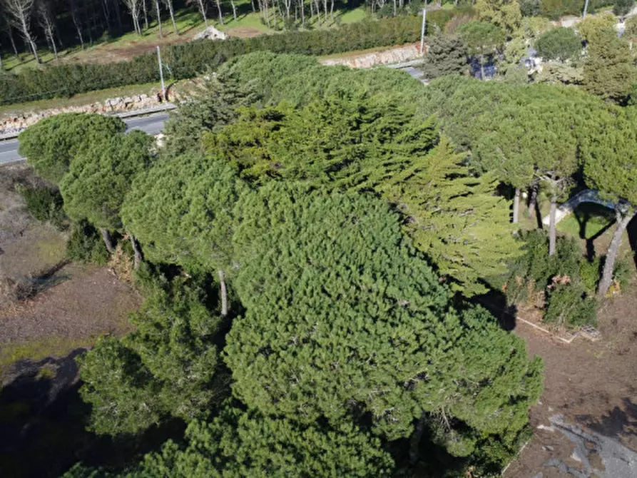 Immagine 32 di Hotel in vendita  in SS172 a Martina Franca