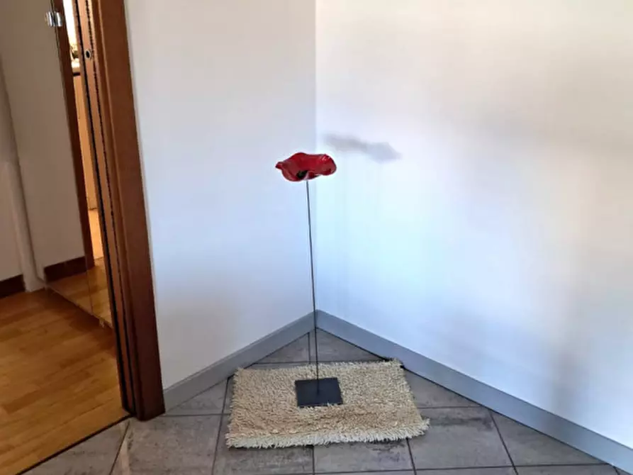 Immagine 7 di Appartamento in affitto  a Tribano