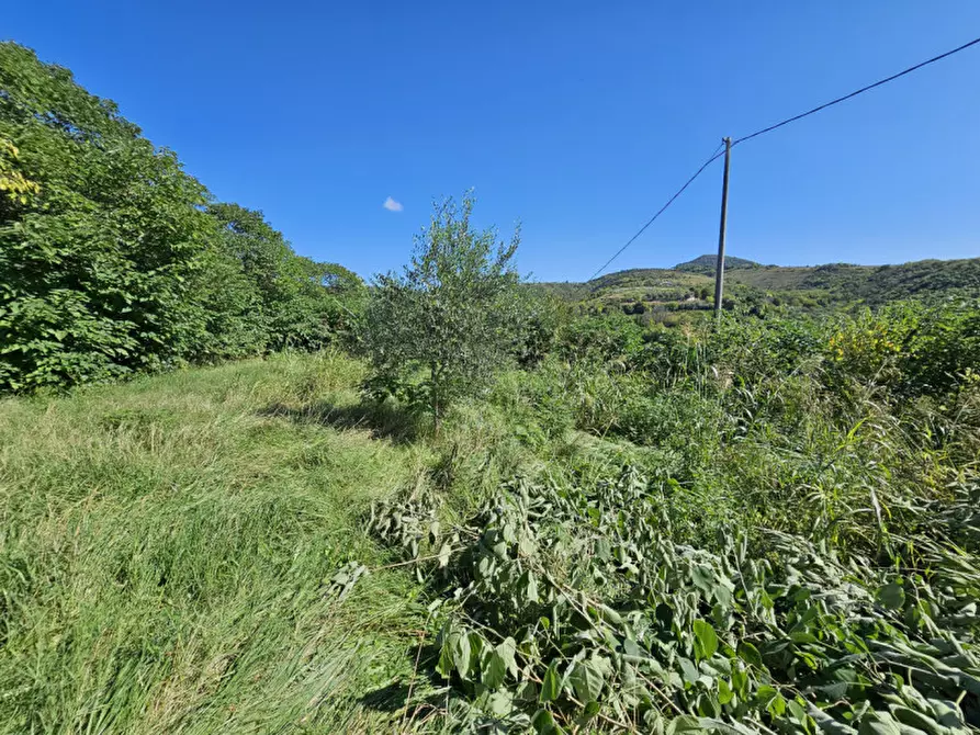 Immagine 13 di Rustico / casale in vendita  in VIA MURO a Baone