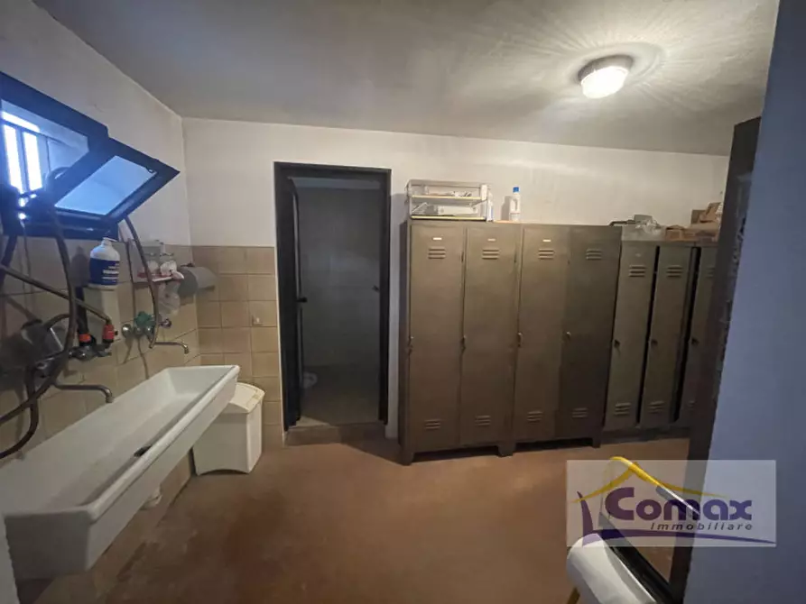 Immagine 6 di Capannone industriale in vendita  in Via Campo Fiera a Vo