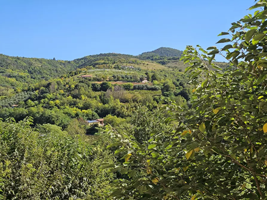 Immagine 3 di Casa bifamiliare in vendita  in VIA MURO a Baone