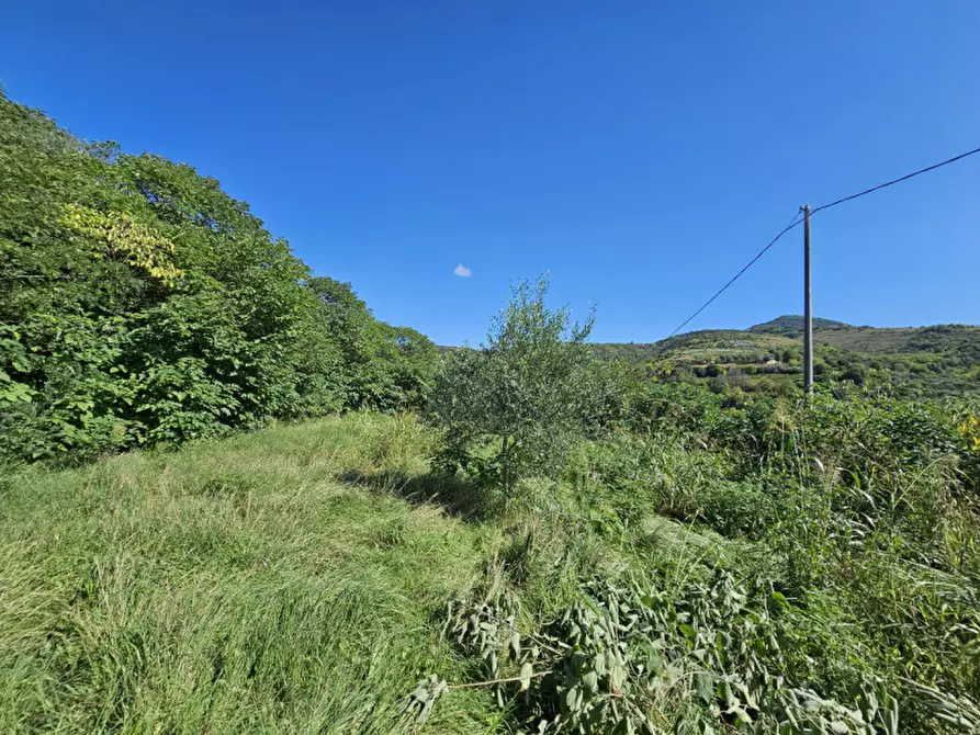 Immagine 7 di Casa bifamiliare in vendita  in VIA MURO a Baone