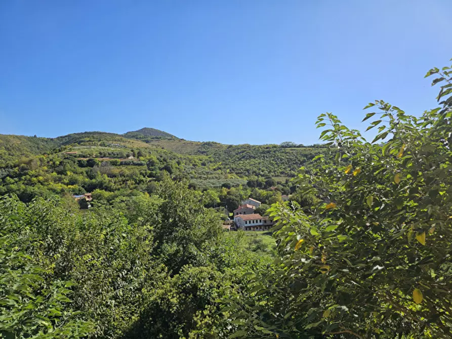 Immagine 9 di Casa bifamiliare in vendita  in VIA MURO a Baone