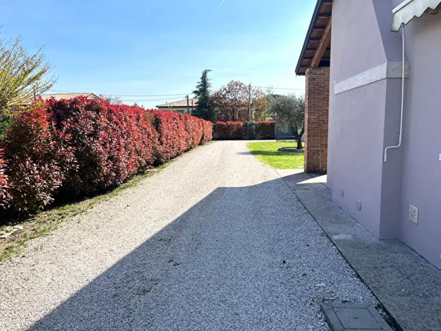 Immagine 4 di Casa bifamiliare in vendita  in Via Lovolo a Rovolon