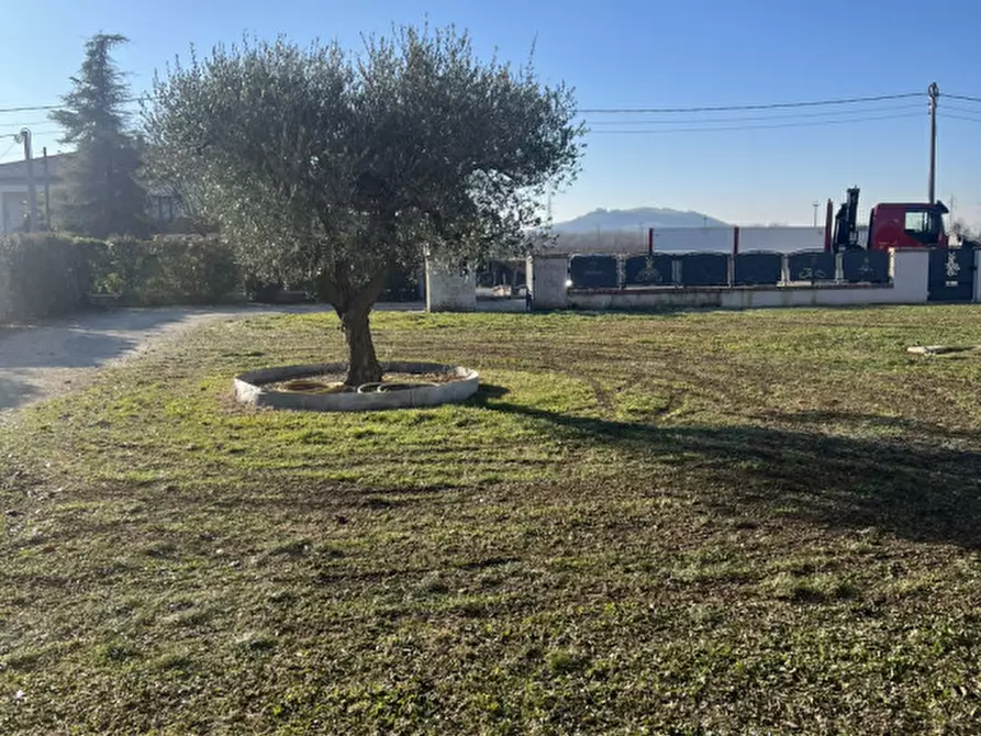 Immagine 5 di Casa bifamiliare in vendita  in Via Lovolo a Rovolon
