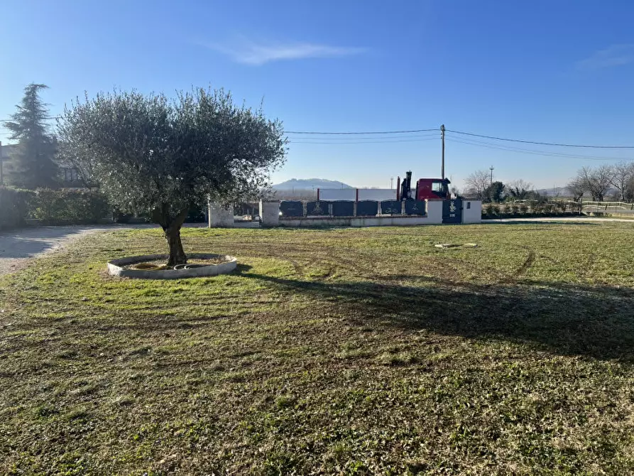 Immagine 6 di Casa bifamiliare in vendita  in Via Lovolo a Rovolon