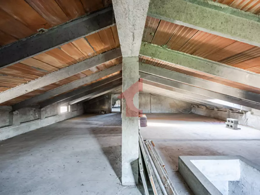 Immagine 30 di Casa indipendente in vendita  in Via crocetta 3 a Polesine Zibello