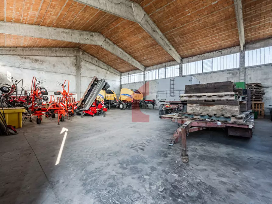 Immagine 31 di Casa indipendente in vendita  in Via crocetta 3 a Polesine Zibello