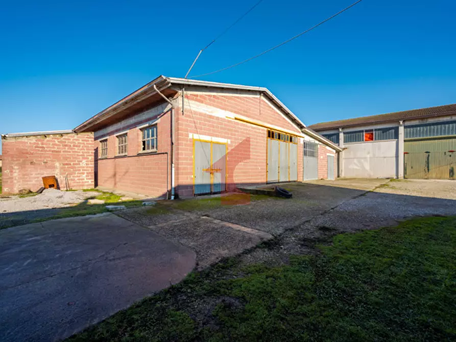 Immagine 34 di Casa indipendente in vendita  in Via crocetta 3 a Polesine Zibello