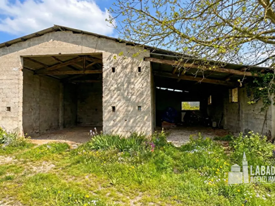 Immagine 3 di Capannone industriale in vendita  in Via Moraro Superiore 182 a Badia Polesine