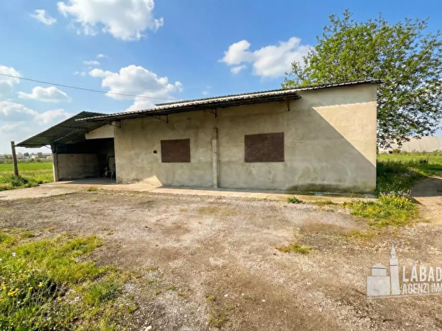 Immagine 5 di Capannone industriale in vendita  in Via Moraro Superiore 182 a Badia Polesine