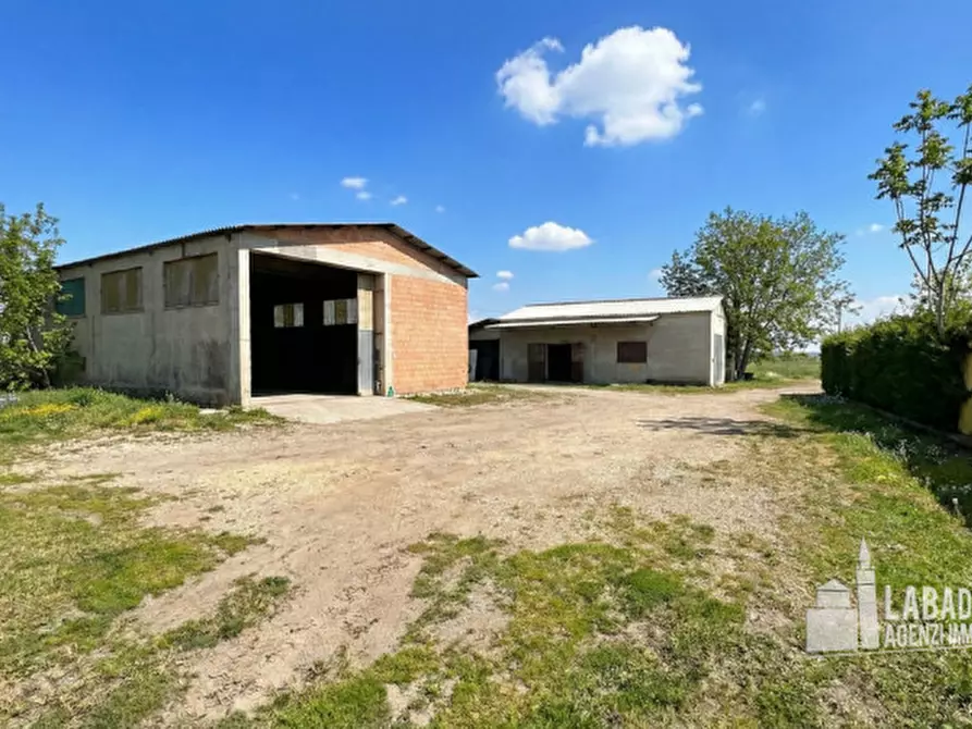 Immagine 14 di Capannone industriale in vendita  in Via Moraro Superiore 182 a Badia Polesine