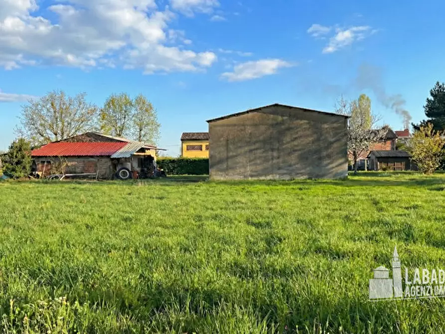 Immagine 16 di Capannone industriale in vendita  in Via Moraro Superiore 182 a Badia Polesine